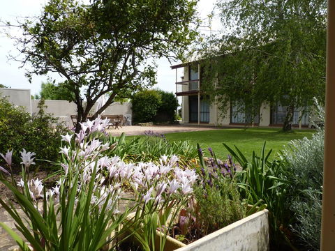 Coonawarra Motor Lodge - Accommodation Australia 0