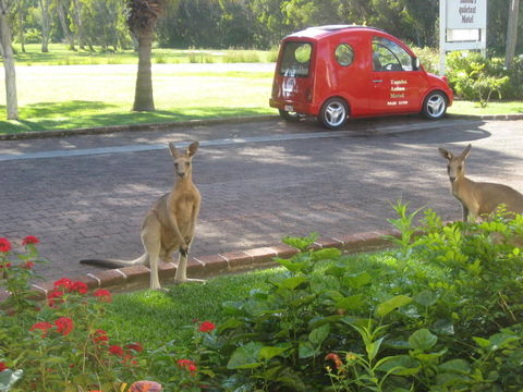 Aston Motel Yamba - Accommodation Australia 6