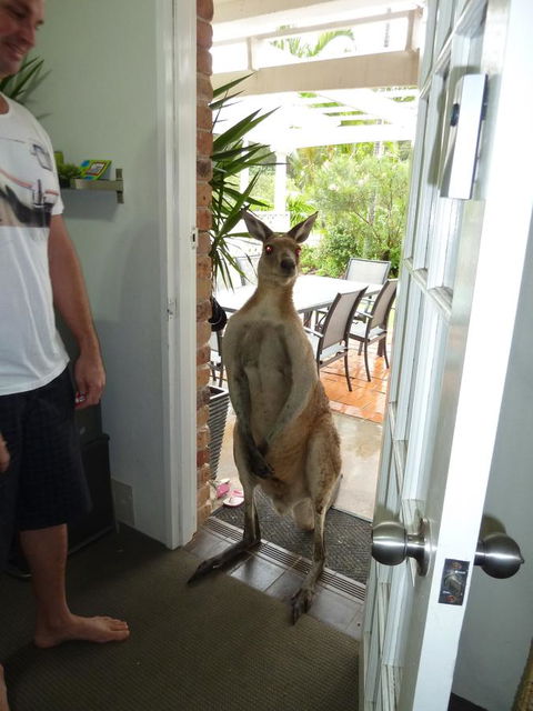 Aston Motel Yamba - Accommodation Australia 10