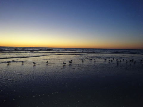 Aurora Holiday Apartment @West Beach - Accommodation Australia 14