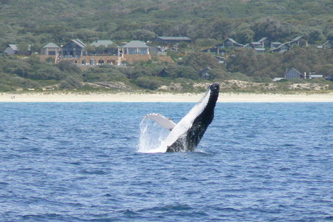 Pullman Bunker Bay Resort Margaret River - Accommodation Australia 25