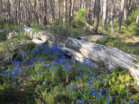 Simala Retreat - Local Tourism 1