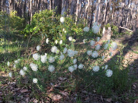 Simala Retreat - Local Tourism 2