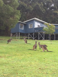 Book Denmark Accommodation Vacations Accommodation Australia Accommodation Australia