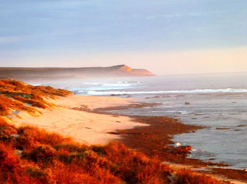 Kanga Cottage - Accommodation Australia 26