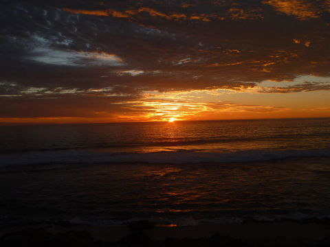 Kanga Cottage - Accommodation Australia 41