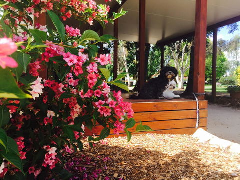 Armidale Tourist Park - Accommodation Australia 34