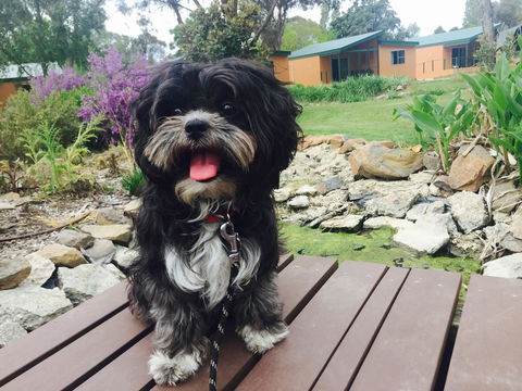 Armidale Tourist Park - Accommodation Australia 32