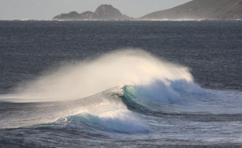 Riverview Tourist Park - Accommodation Australia 33