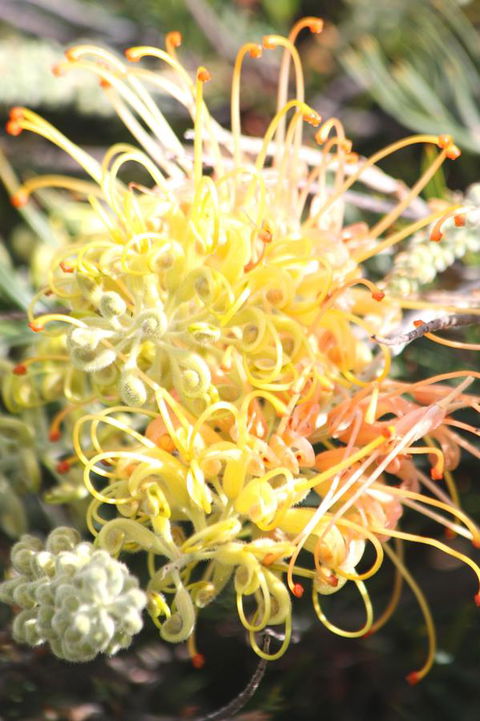 Riverview Tourist Park - Accommodation Australia 37