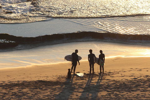 Riverview Tourist Park - Accommodation Australia 31