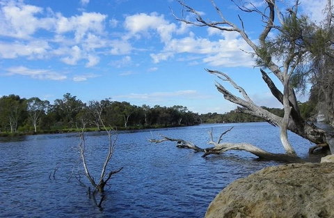 Ascot Comfort - Australia Shopping 23