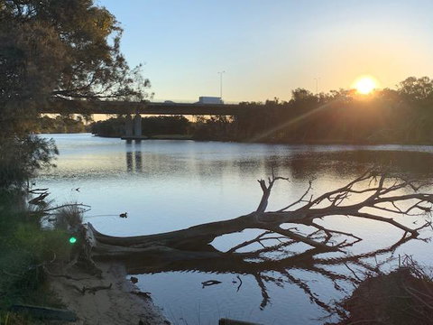 Ascot Comfort - Australia Shopping 20