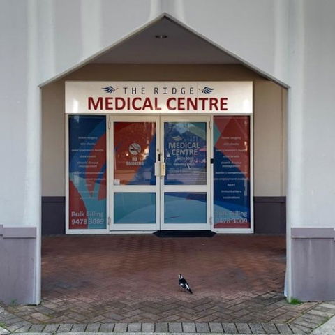 Ascot Comfort - Australia Shopping 26