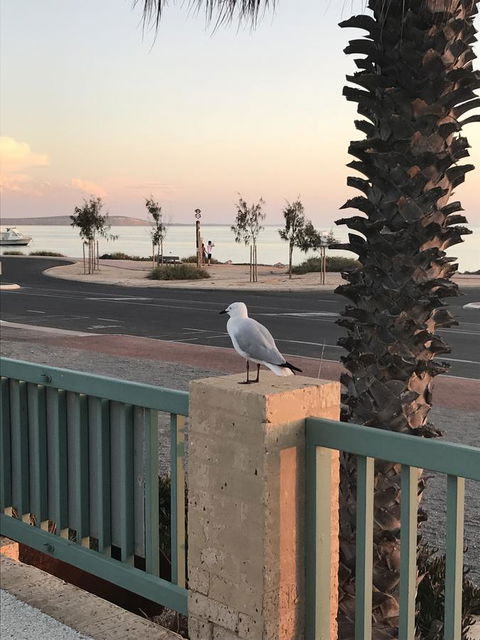 Shark Bay Seafront Apartments - Accommodation Australia 0