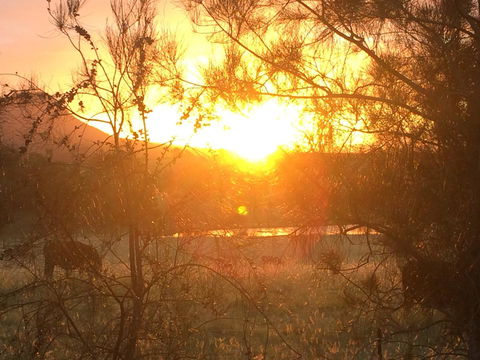 Grapevines Boutique Accommodation - Accommodation Australia 27