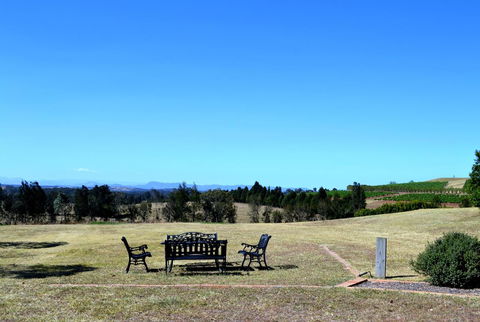 Grapevines Boutique Accommodation - Accommodation Australia 18