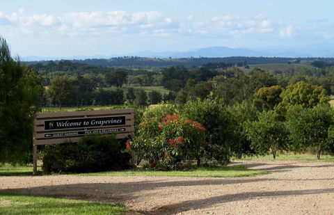 Grapevines Boutique Accommodation - Accommodation Australia 15