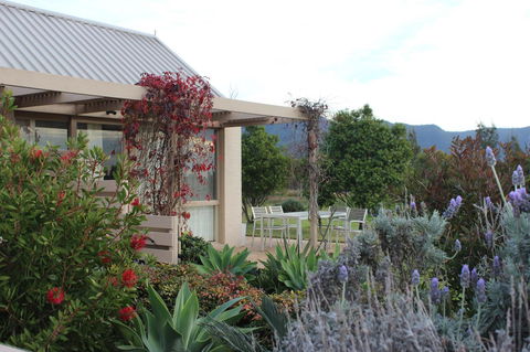 Grapevines Boutique Accommodation - Accommodation Australia 28