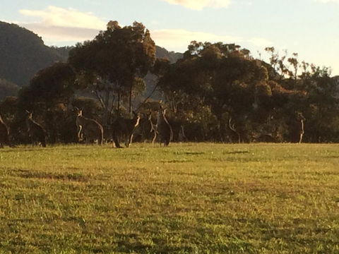 Grapevines Boutique Accommodation - Accommodation Australia 26