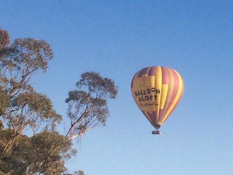 Grapevines Boutique Accommodation - Accommodation Australia 12