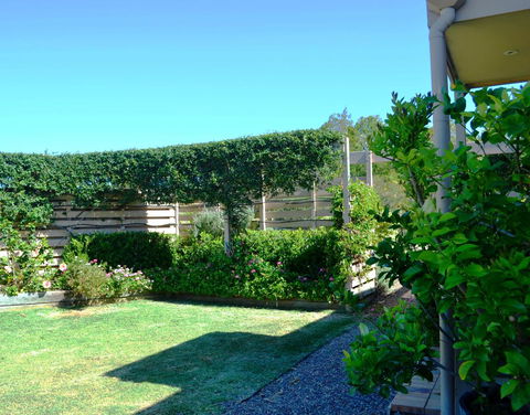 Grapevines Boutique Accommodation - Accommodation Australia 14