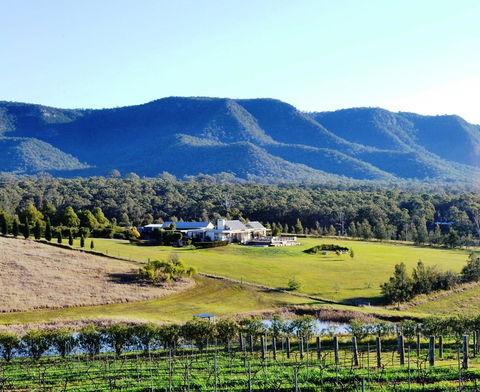 Grapevines Boutique Accommodation - Accommodation Australia 0
