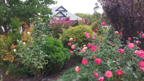 Glenelg On King Bed & Breakfast - Australia Shopping 15