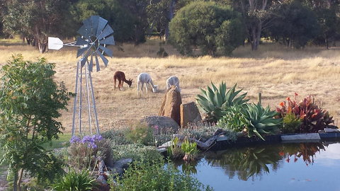 Glenelg On King Bed & Breakfast - Australia Shopping 19