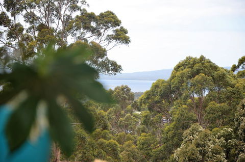 The Floating Forest - Local Tourism 8