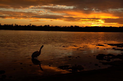 Dungowan Holiday Accommodation - Australia Shopping 31