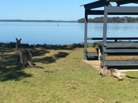 Dungowan Holiday Accommodation - Australia Shopping 33