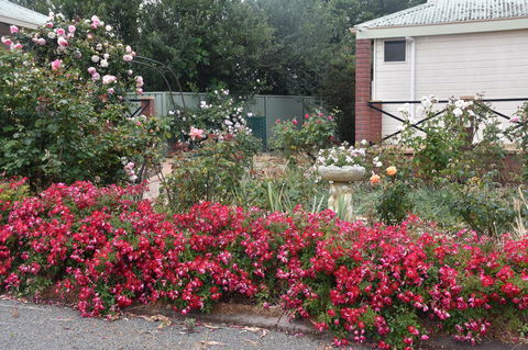 Mount Barker Valley Views Motel & Chalets, Western Australia - Accommodation Australia 27