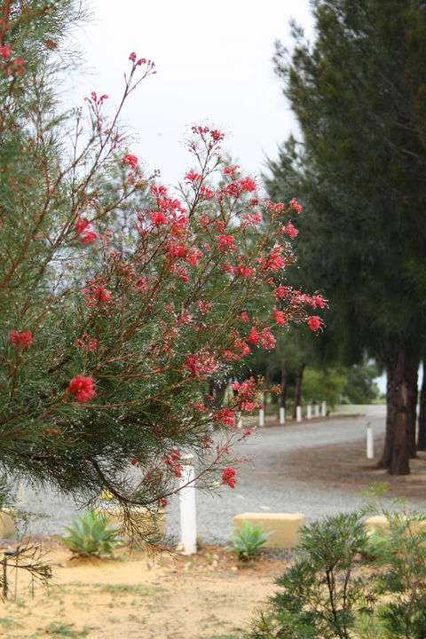 The Heights Bed & Breakfast - Accommodation Australia 0