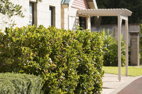 Amalfi Resort - Accommodation Australia 9