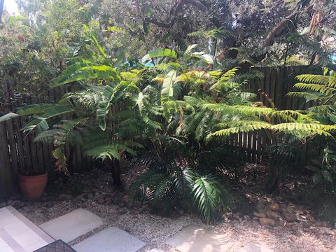 East On Byron - Accommodation Australia 40