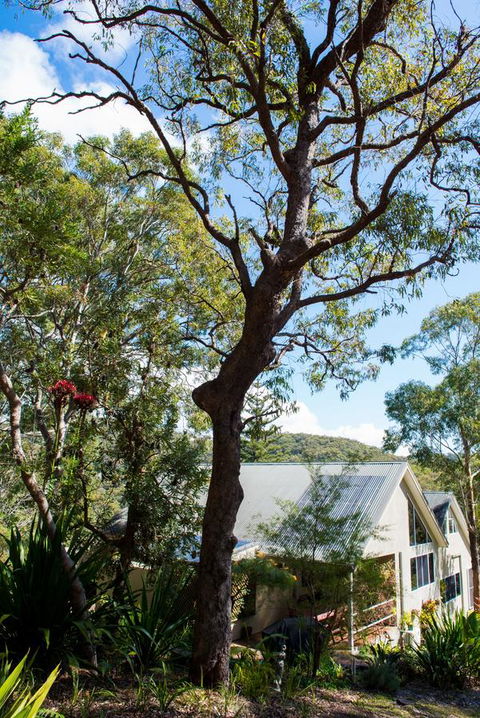Nelson Bay Bed & Breakfast - Accommodation Australia 42