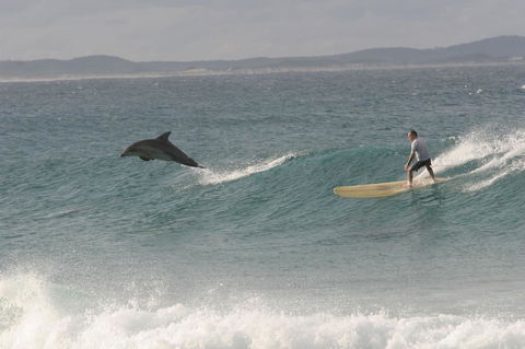 Crescent Head Spa Villa - Accommodation Australia 22