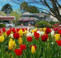 Nesuto Leura Gardens formerly Waldorf Leura Gardens Resort - Accommodation Australia