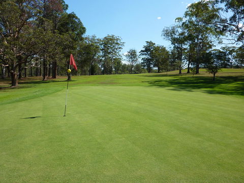 Kempsey Rose Motor Inn - Australia Shopping 3