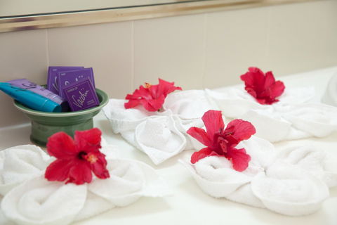Kempsey Rose Motor Inn - Australia Shopping 14