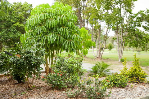 Kempsey Rose Motor Inn - Australia Shopping 42