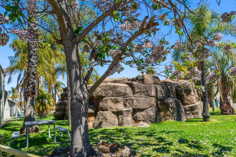Quality Resort Siesta - Accommodation Australia 1