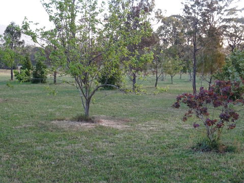 Romanz In The Valley (Luxury B&B) - Accommodation Australia 32