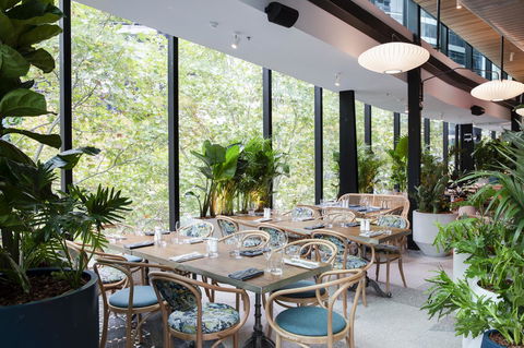 Vibe Hotel North Sydney - Accommodation Australia 4