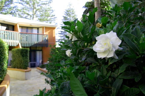 The Crest Byron Bay - Accommodation Australia 29