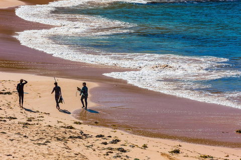 Seabreeze @ Mona Vale - Local Tourism 17