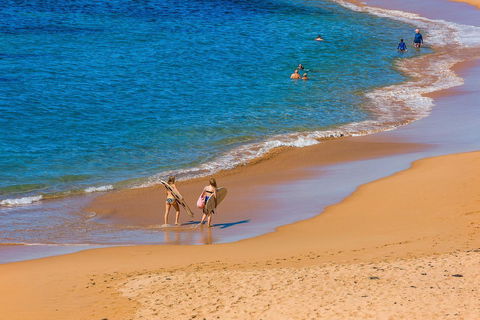 Seabreeze @ Mona Vale - Local Tourism 16