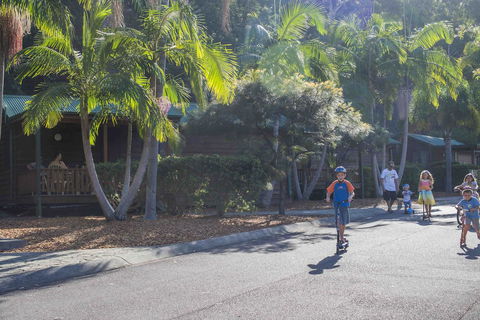 The Palms At Avoca - Accommodation Australia 14