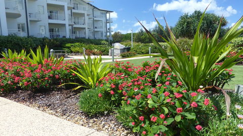 SaltBeach2302 - Local Tourism 1